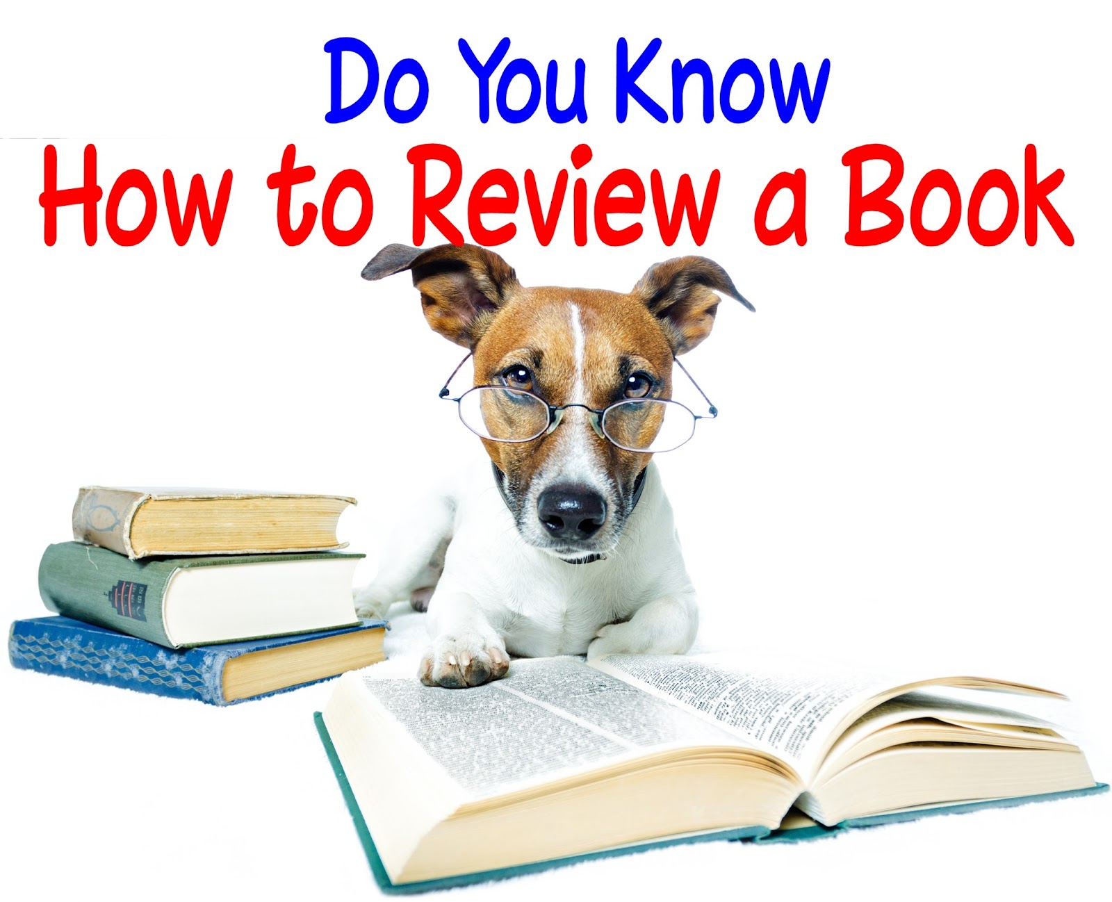 Book reviews how to write them